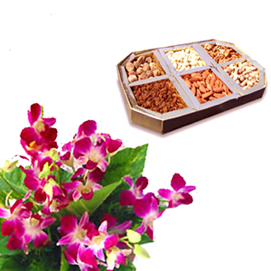 dry_fruit