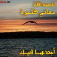 للصداقة معاني كثيرة اجدها فيك
