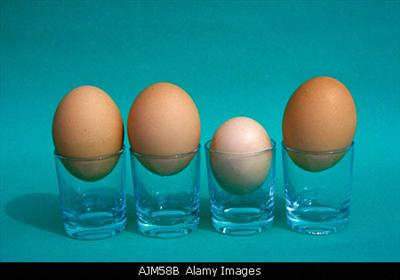 small egg