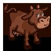 Brown Cow