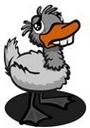 Ugly Duckling