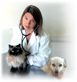 vet