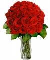 Red Roses