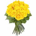 Yellow Roses