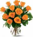 Orange Roses
