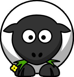 Sheep