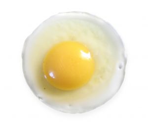 Fried Egg