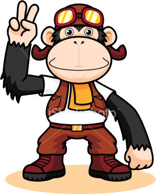 Chimp