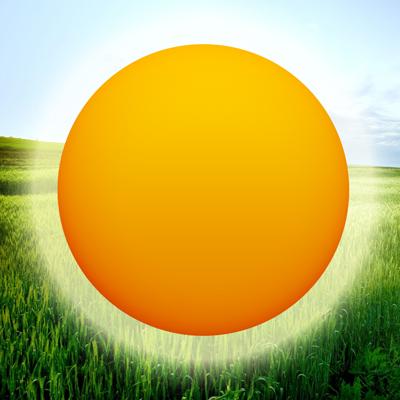 Spot O' Sunshine