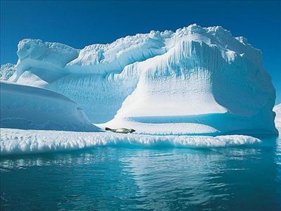A week in the north pole!