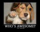 your awsome
