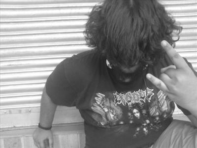 Metal Toila