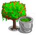 Musty Maple Tree