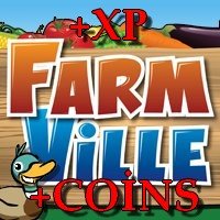 FV XP