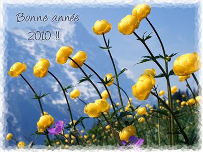 Bonne Année 2010 (Fleurs)