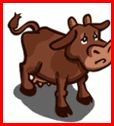 Brown Cow