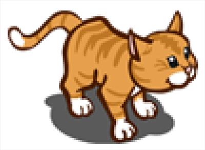 orange tabby