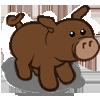 wild pig (new)