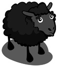 Black Sheep