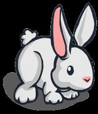 rabbit