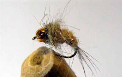 Nymph