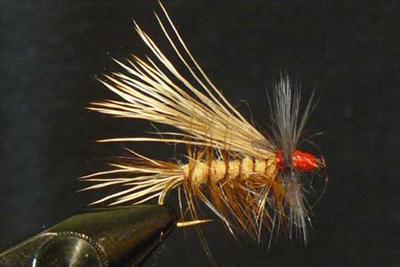 Stimulator