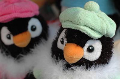 penguins with hats