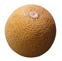 Melon