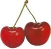 Cereza