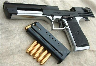 Gun