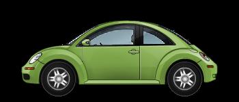 Beetle