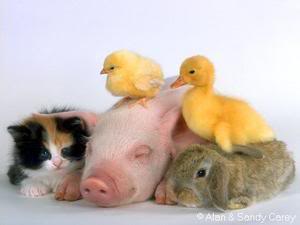 Friends forever