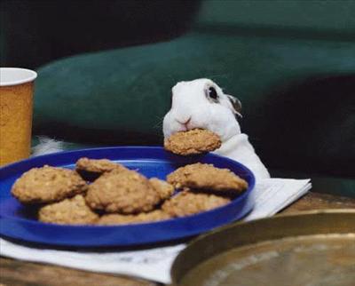 No carrots, just cookies