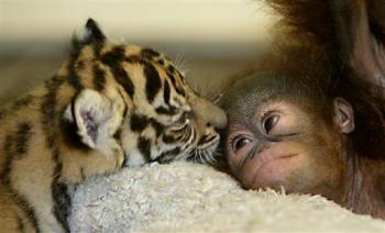 Best friends