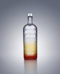 2010 ABSOLUT