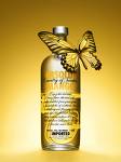 2010 ABSOLUT
