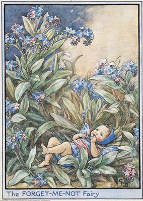 Forget-Me-Not Fairy Baby