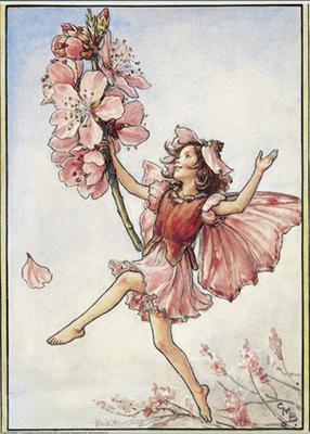 Almond Blossom Fairy