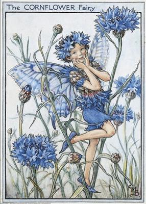 Cornflower Fairy