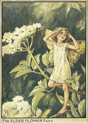 Elder Fairy