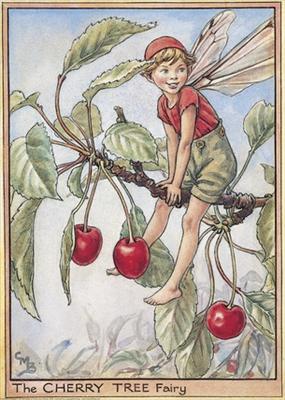 Cherry Tree Fairy