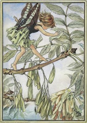 Ash Tree Fairy