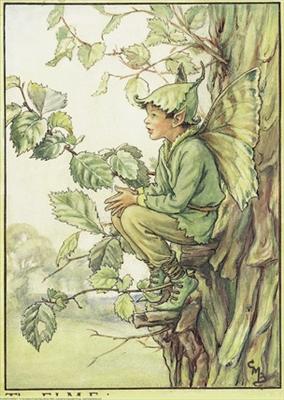 Elm Tree Fairy