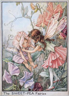 Sweet Pea Fairies
