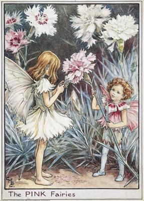 Pink Fairies