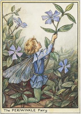 Periwinkle Fairy