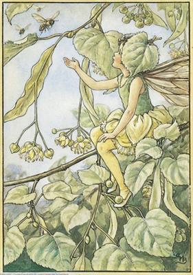 Lime Tree Fairy