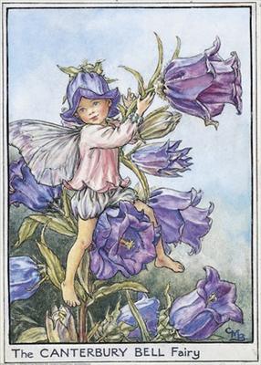 Canterbury Bell Fairy
