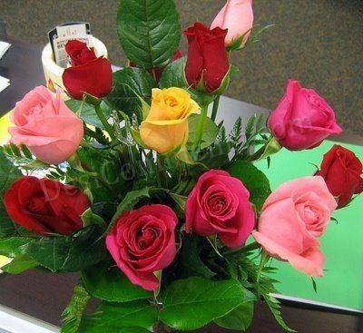 Roses