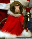 Happy Holiday's Monkey